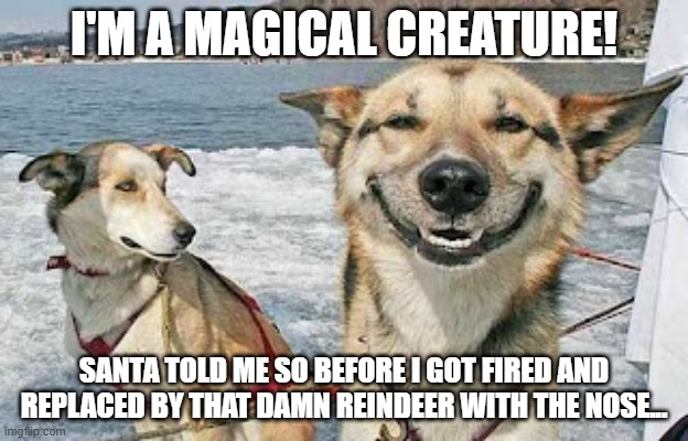 Magical Creature I don't care what the red nose reindeer says | I'M A MAGICAL CREATURE! SANTA TOLD ME SO BEFORE I GOT FIRED AND REPLACED BY THAT DAMN REINDEER WITH THE NOSE... | image tagged in memes,original stoner dog,happy,lead dog,high | made w/ Imgflip meme maker