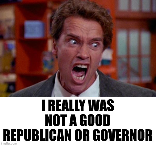 Arnold Schwarzenegger tumor | I REALLY WAS NOT A GOOD REPUBLICAN OR GOVERNOR | image tagged in arnold schwarzenegger tumor | made w/ Imgflip meme maker
