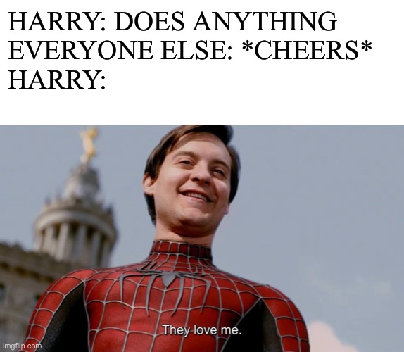 They love me | HARRY: DOES ANYTHING
EVERYONE ELSE: *CHEERS*
HARRY: | image tagged in blank white template,they love me | made w/ Imgflip meme maker