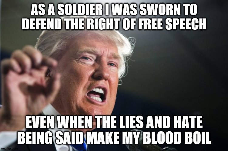 Right to Free Speech | AS A SOLDIER I WAS SWORN TO DEFEND THE RIGHT OF FREE SPEECH; EVEN WHEN THE LIES AND HATE BEING SAID MAKE MY BLOOD BOIL | image tagged in donald trump | made w/ Imgflip meme maker