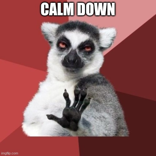 CALM DOWN | image tagged in memes,chill out lemur | made w/ Imgflip meme maker