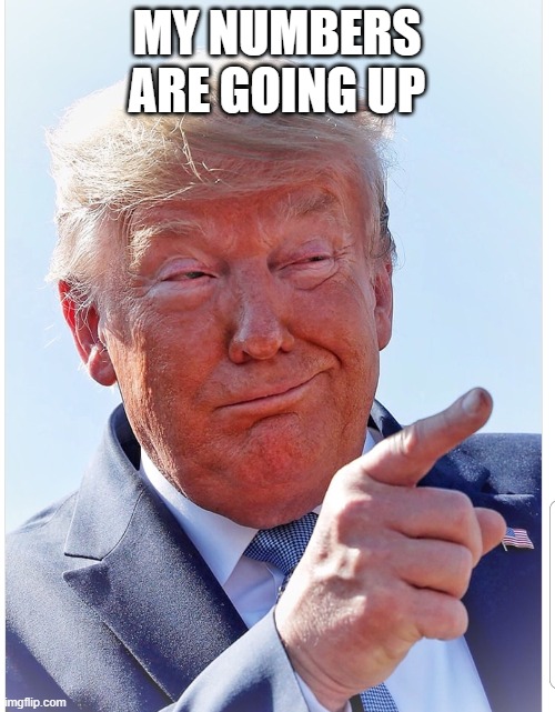 Trump pointing | MY NUMBERS ARE GOING UP | image tagged in trump pointing | made w/ Imgflip meme maker