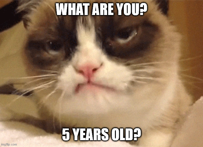 DISAPPROVING GRUMPY CAT | WHAT ARE YOU? 5 YEARS OLD? | image tagged in disapproving grumpy cat | made w/ Imgflip meme maker