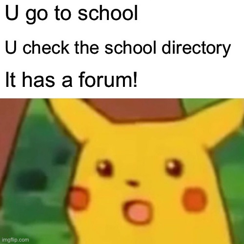 Surprised Pikachu Meme | U go to school; U check the school directory; It has a forum! | image tagged in memes,surprised pikachu | made w/ Imgflip meme maker