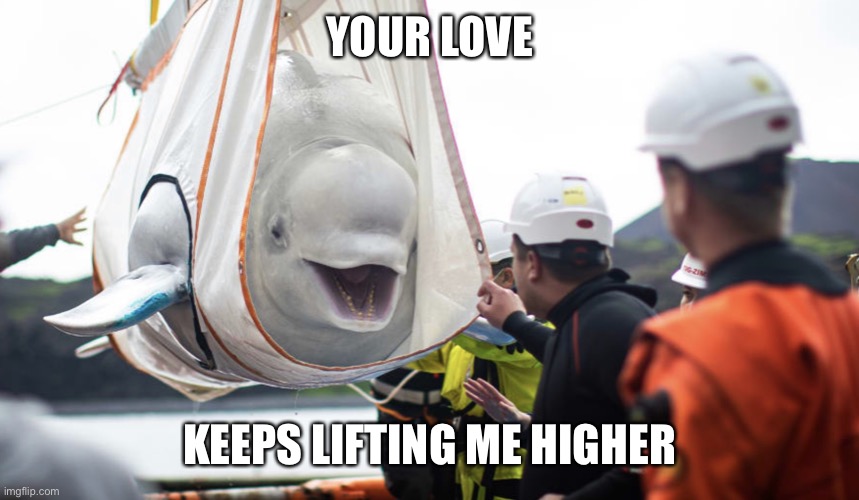 TGIF everyone | YOUR LOVE; KEEPS LIFTING ME HIGHER | image tagged in whale whale whale what do we have here,memes,smartest mammal,love_all | made w/ Imgflip meme maker