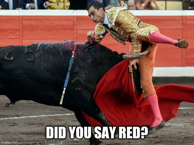 Bullfighter getting gored in crotch | DID YOU SAY RED? | image tagged in bullfighter getting gored in crotch | made w/ Imgflip meme maker