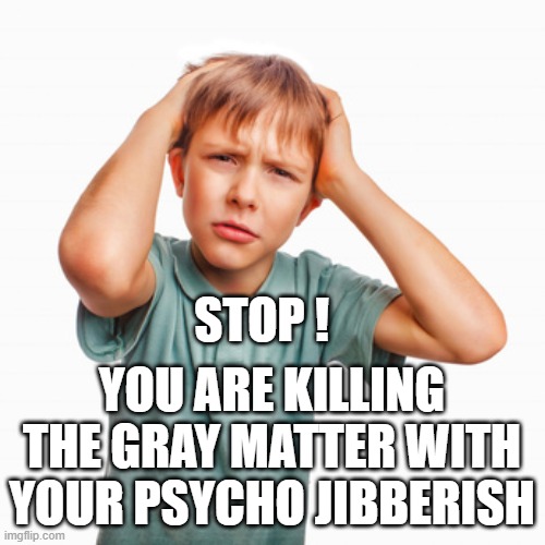 STOP ! YOU ARE KILLING THE GRAY MATTER WITH YOUR PSYCHO JIBBERISH | made w/ Imgflip meme maker