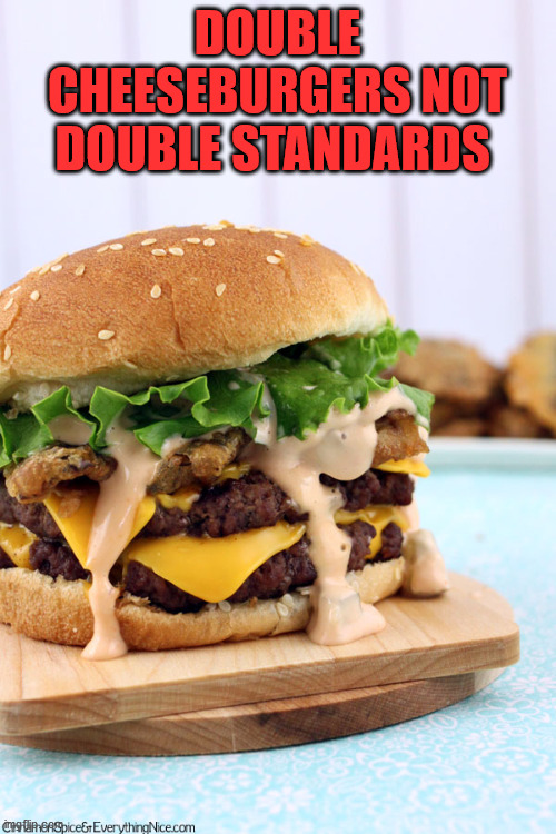 Double cheeseburgers not double standards  | DOUBLE CHEESEBURGERS NOT DOUBLE STANDARDS | image tagged in double cheeseburgers not double standards | made w/ Imgflip meme maker