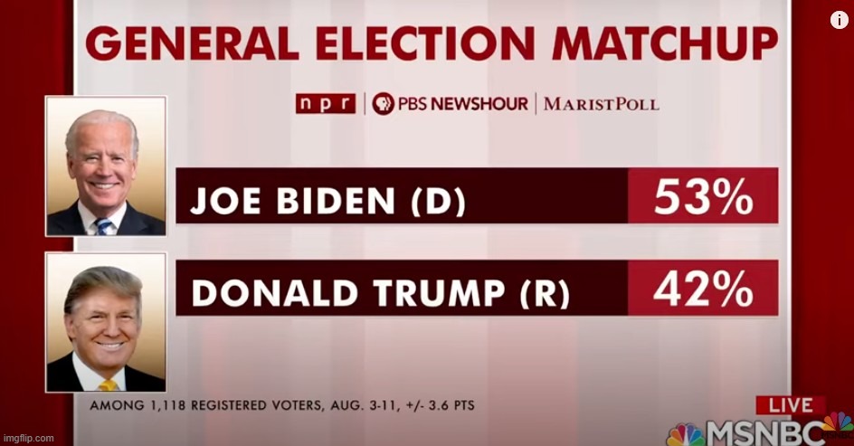 This is BEFORE Kamala Harris picked for VP - Trump is the BIGGEST LOSER! | image tagged in 2020,election 2020,biden,harris,biden - harris | made w/ Imgflip meme maker