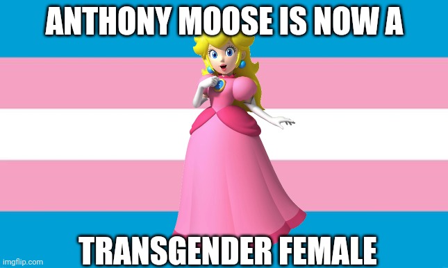 Transgender Flag | ANTHONY MOOSE IS NOW A; TRANSGENDER FEMALE | image tagged in transgender flag | made w/ Imgflip meme maker