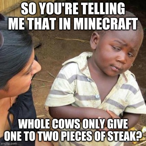 Third World Skeptical Kid | SO YOU'RE TELLING ME THAT IN MINECRAFT; WHOLE COWS ONLY GIVE ONE TO TWO PIECES OF STEAK? | image tagged in memes,third world skeptical kid | made w/ Imgflip meme maker