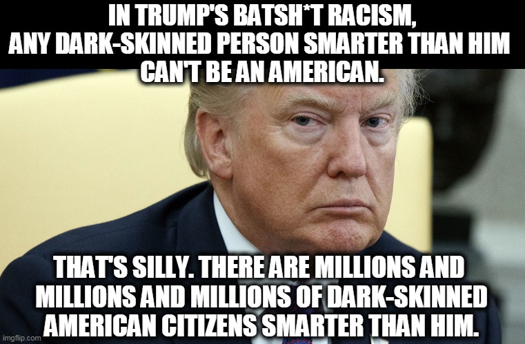 Birthright citizenship has been the law of the land since 1868. No two ways about it. Suck it up, buttercup. | IN TRUMP'S BATSH*T RACISM, ANY DARK-SKINNED PERSON SMARTER THAN HIM 
CAN'T BE AN AMERICAN. THAT'S SILLY. THERE ARE MILLIONS AND 
MILLIONS AND MILLIONS OF DARK-SKINNED AMERICAN CITIZENS SMARTER THAN HIM. | image tagged in trump angry and dilated at the same time,harris,trump,stupid,weak,desperate | made w/ Imgflip meme maker