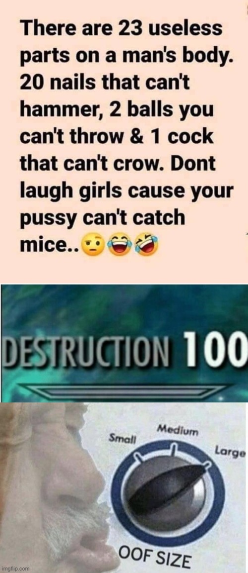 OOF! | image tagged in destruction 100,oof size large | made w/ Imgflip meme maker