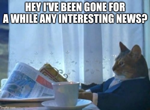what did i miss | HEY I'VE BEEN GONE FOR A WHILE ANY INTERESTING NEWS? | image tagged in memes,i should buy a boat cat | made w/ Imgflip meme maker