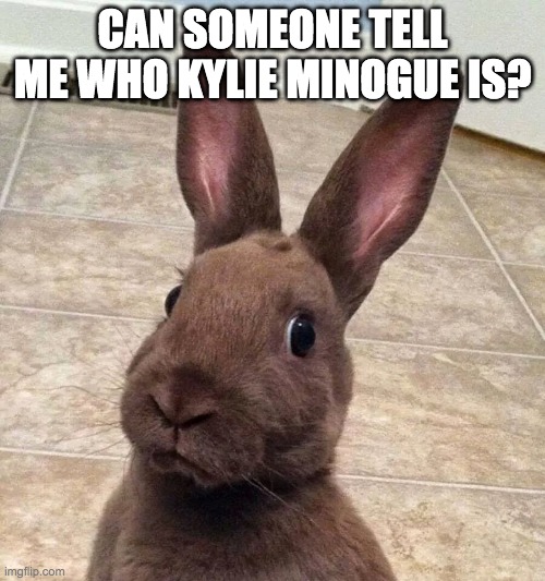 srry if this is a stupid question | CAN SOMEONE TELL ME WHO KYLIE MINOGUE IS? | image tagged in confuzed bunny | made w/ Imgflip meme maker
