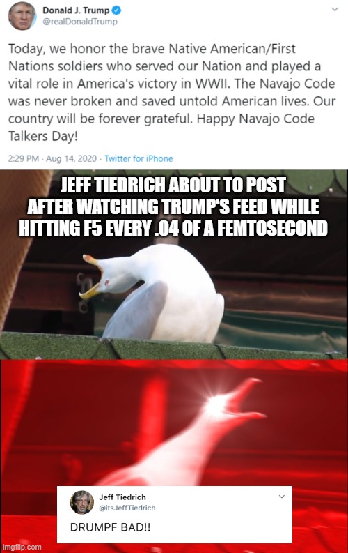 Jeff Tiedrich's Twitter account in a nutshell | JEFF TIEDRICH ABOUT TO POST AFTER WATCHING TRUMP'S FEED WHILE HITTING F5 EVERY .04 OF A FEMTOSECOND | image tagged in screaming bird,donald trump | made w/ Imgflip meme maker