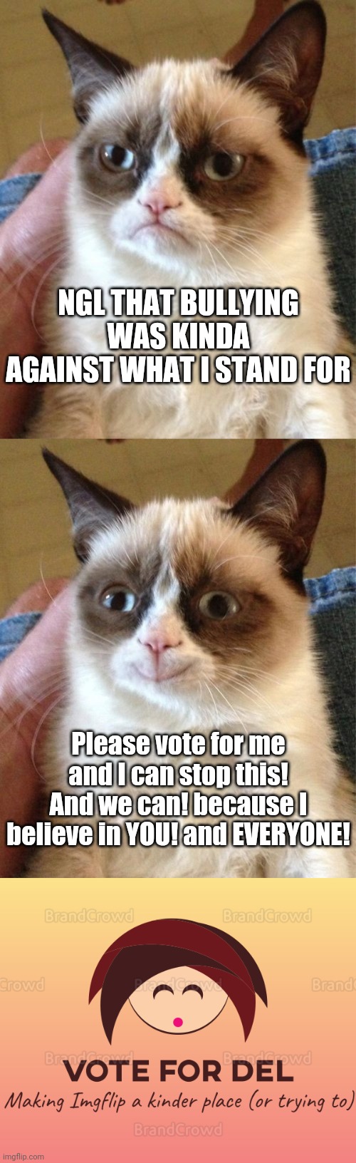 Plez spread the cause | NGL THAT BULLYING WAS KINDA AGAINST WHAT I STAND FOR; Please vote for me and I can stop this! And we can! because I believe in YOU! and EVERYONE! | image tagged in memes,grumpy cat,grumpy cat happy,vote for del | made w/ Imgflip meme maker