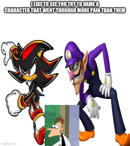 I LIKE TO SEE YOU TRY TO NAME A CHARACTER THAT WENT THROUGH MORE PAIN THAN THEM | image tagged in blank white template,memes | made w/ Imgflip meme maker