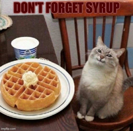 kitty waffle | DON'T FORGET SYRUP | image tagged in cat likes their waffle,maple syrup | made w/ Imgflip meme maker