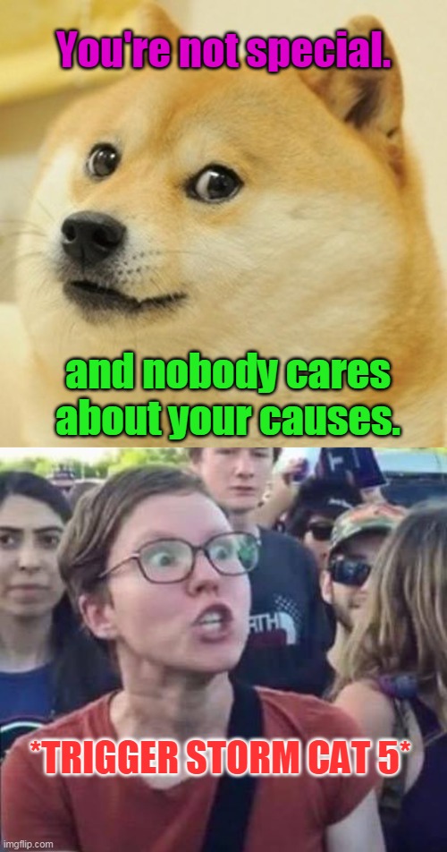 When you realize it was never about politics with liberals. | You're not special. and nobody cares about your causes. *TRIGGER STORM CAT 5* | image tagged in memes,doge,angry liberal,narcissist,self centered,democrats | made w/ Imgflip meme maker