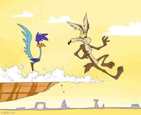 Wile E. Coyote roadrunner | image tagged in wile e coyote roadrunner | made w/ Imgflip meme maker