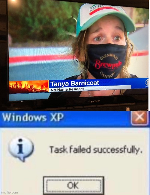image tagged in task failed successfully | made w/ Imgflip meme maker