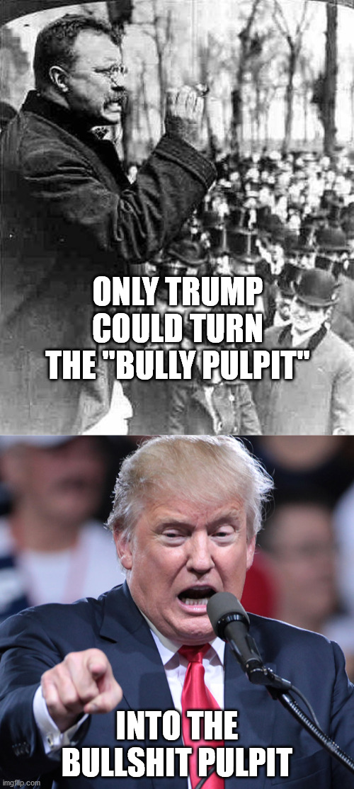 The Bully Pulpit | ONLY TRUMP COULD TURN THE "BULLY PULPIT"; INTO THE BULLSHIT PULPIT | image tagged in trump meme,teddy roosevelt,bullshit | made w/ Imgflip meme maker