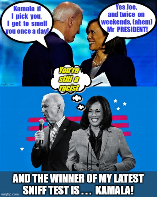 Joe Biden and Kamala Harris as VP | You're
still  a
racist; AND THE WINNER OF MY LATEST SNIFF TEST IS . . .  KAMALA! | image tagged in political meme,joe biden,kamala harris,elections,sniff,smell | made w/ Imgflip meme maker