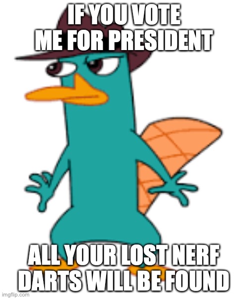 IF YOU VOTE ME FOR PRESIDENT; ALL YOUR LOST NERF DARTS WILL BE FOUND | image tagged in perry | made w/ Imgflip meme maker