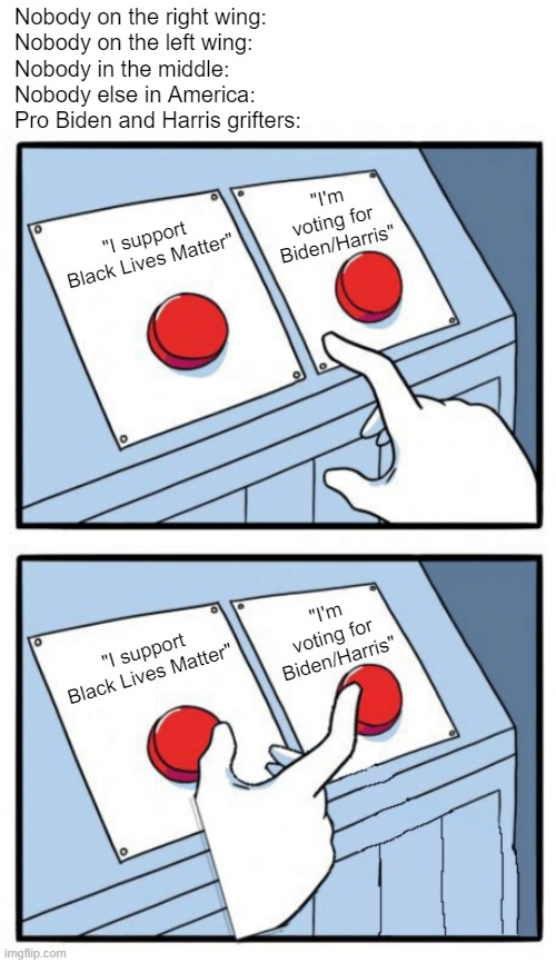 Democrat voters in a nutshell: | Nobody on the right wing:
Nobody on the left wing:
Nobody in the middle:
Nobody else in America:
Pro Biden and Harris grifters:; "I'm voting for Biden/Harris"; "I support Black Lives Matter"; "I'm voting for Biden/Harris"; "I support Black Lives Matter" | image tagged in both buttons,kamala harris,black lives matter,joe biden,election 2020 | made w/ Imgflip meme maker