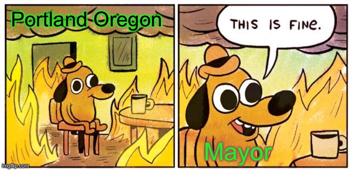 Why is nobody putting an end to this ? | Portland Oregon; Mayor | image tagged in this is fine,portland,civil unrest,rioting,police,blm | made w/ Imgflip meme maker
