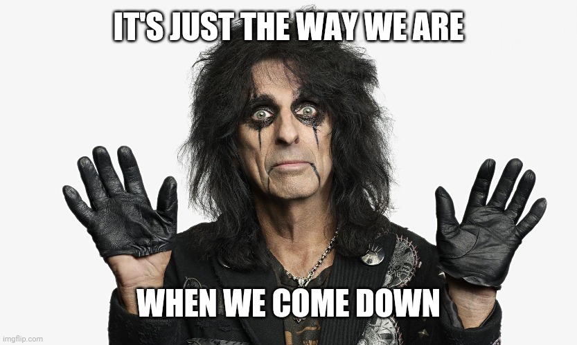 Alice Cooper | IT'S JUST THE WAY WE ARE WHEN WE COME DOWN | image tagged in alice cooper | made w/ Imgflip meme maker