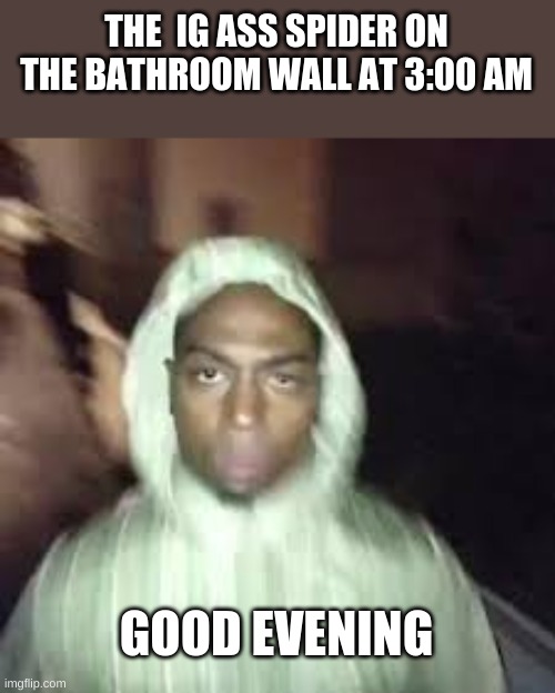 Good evening | THE  IG ASS SPIDER ON THE BATHROOM WALL AT 3:00 AM; GOOD EVENING | image tagged in good evening | made w/ Imgflip meme maker