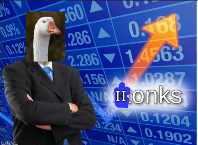 HONKS | H | image tagged in stonks,goose | made w/ Imgflip meme maker