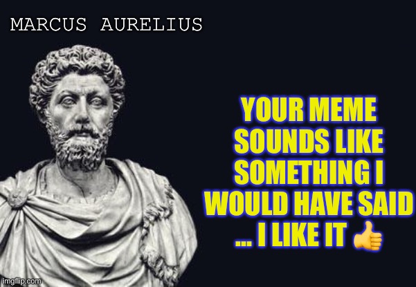 Marcus Aurelius | MARCUS AURELIUS YOUR MEME SOUNDS LIKE SOMETHING I WOULD HAVE SAID ... I LIKE IT ? | image tagged in marcus aurelius | made w/ Imgflip meme maker