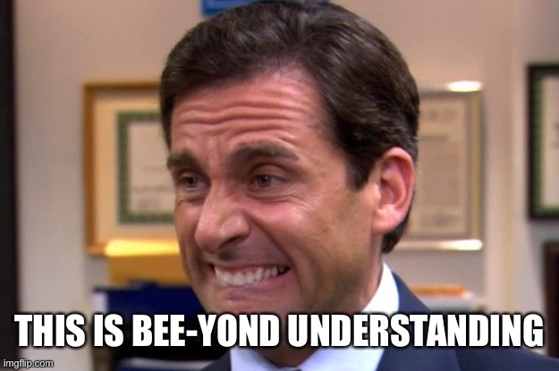 Cringe | THIS IS BEE-YOND UNDERSTANDING | image tagged in cringe | made w/ Imgflip meme maker