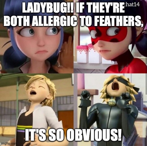 Identical Sneezes | LADYBUG!! IF THEY'RE BOTH ALLERGIC TO FEATHERS, IT'S SO OBVIOUS! | image tagged in miraculous ladybug,funny,sneeze | made w/ Imgflip meme maker