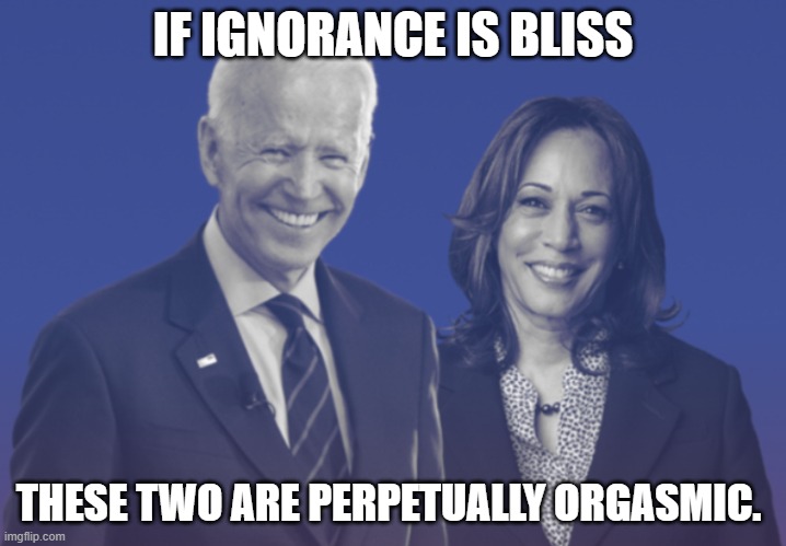 Biden Harris 2020 | IF IGNORANCE IS BLISS; THESE TWO ARE PERPETUALLY ORGASMIC. | image tagged in biden harris 2020 | made w/ Imgflip meme maker