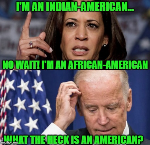 Kamala and Joe on their nationality | I'M AN INDIAN-AMERICAN... NO WAIT! I'M AN AFRICAN-AMERICAN; WHAT THE HECK IS AN AMERICAN? | image tagged in kamala harris and joe biden | made w/ Imgflip meme maker