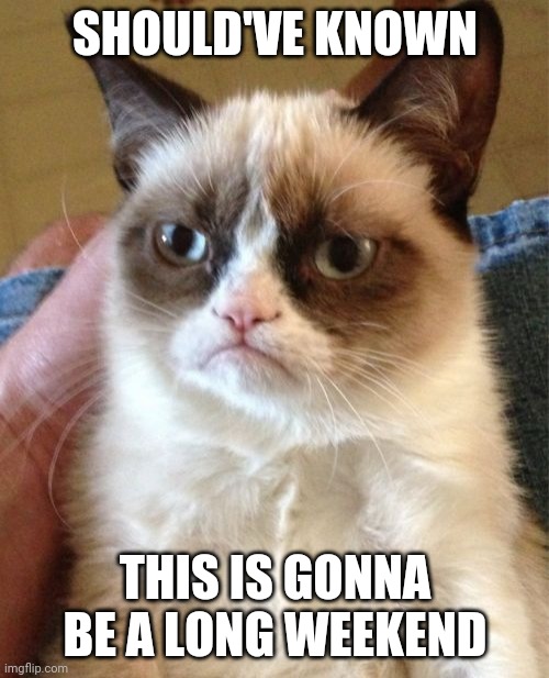 Grumpy Cat Meme | SHOULD'VE KNOWN; THIS IS GONNA BE A LONG WEEKEND | image tagged in memes,grumpy cat | made w/ Imgflip meme maker