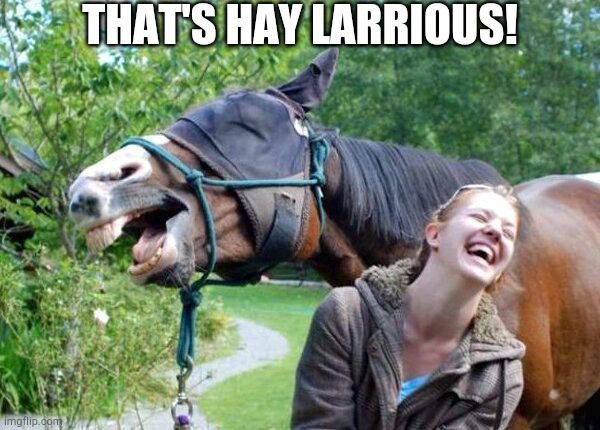 Laughing Horse | THAT'S HAY LARRIOUS! | image tagged in laughing horse | made w/ Imgflip meme maker