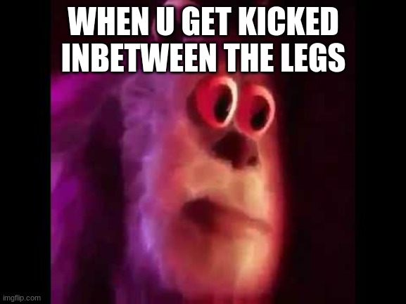 welp that is sad | WHEN U GET KICKED INBETWEEN THE LEGS | image tagged in sully groan | made w/ Imgflip meme maker