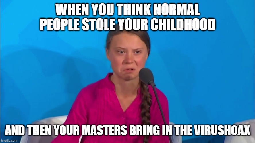 coronahoax | WHEN YOU THINK NORMAL PEOPLE STOLE YOUR CHILDHOOD; AND THEN YOUR MASTERS BRING IN THE VIRUSHOAX | image tagged in how dare you - greta thunberg | made w/ Imgflip meme maker