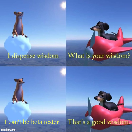 Wisdom dog | I can't be beta tester | image tagged in wisdom dog,pyroillusion,memes,funny | made w/ Imgflip meme maker