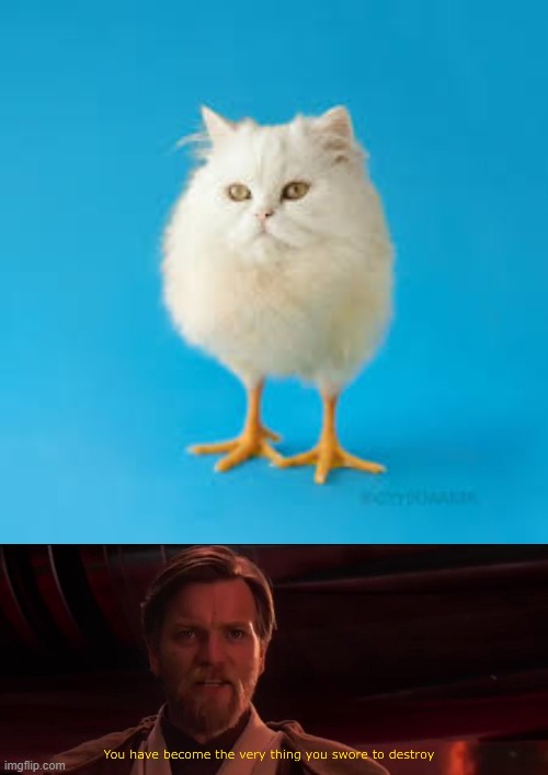 image tagged in you have become the very thing you swore to destroy,cats,birds,photoshop | made w/ Imgflip meme maker