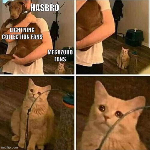 Hasbro hates Megazords... | HASBRO; LIGHTNING COLLECTION FANS; MEGAZORD FANS | image tagged in sad cat holding dog | made w/ Imgflip meme maker