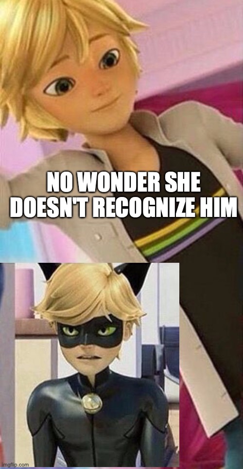 What the- hair? | NO WONDER SHE DOESN'T RECOGNIZE HIM | image tagged in miraculous ladybug,funny,hair | made w/ Imgflip meme maker