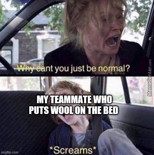 MY TEAMMATE WHO PUTS WOOL ON THE BED | image tagged in why can't you just be normal | made w/ Imgflip meme maker