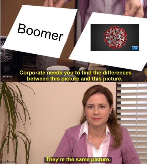 Idk | Boomer | image tagged in memes,they're the same picture | made w/ Imgflip meme maker