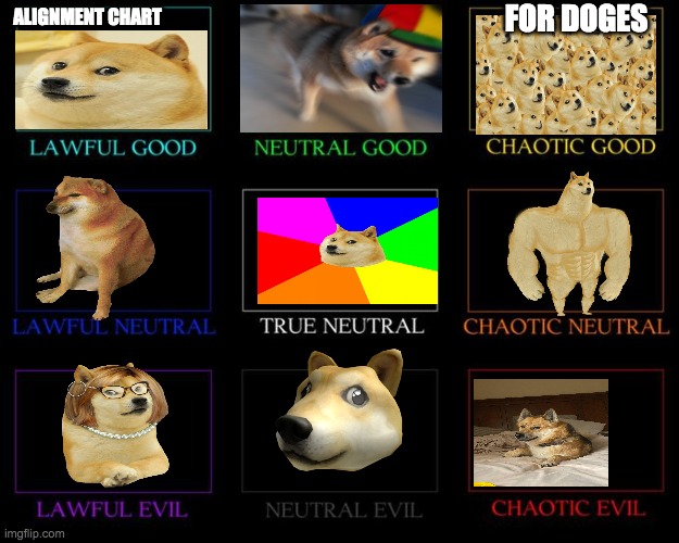 Alignment Chart | FOR DOGES; ALIGNMENT CHART | image tagged in alignment chart | made w/ Imgflip meme maker